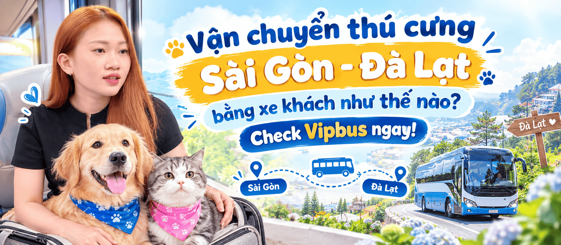 Vận chuyển thú cưng Sài Gòn - Đà Lạt bằng xe khách như thế nào? Check Vipbus ngay